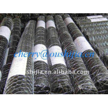 Reverse Twist Galvanized Hexagonal Wire Netting (usine et exportateur)